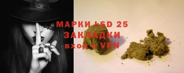 ГАЛЛЮЦИНОГЕННЫЕ ГРИБЫ Краснотурьинск